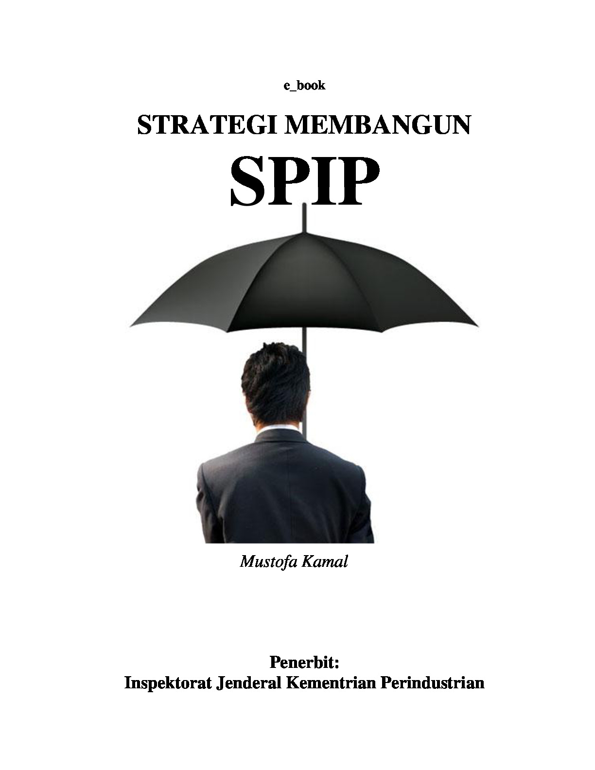Strategi Membangun SPIP